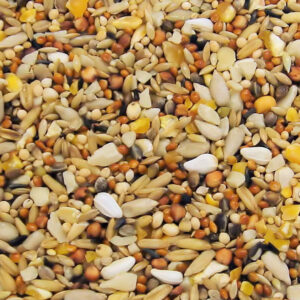 Wild Bird Food