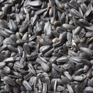 Black Oil Sunflower Seeds 12.75kg